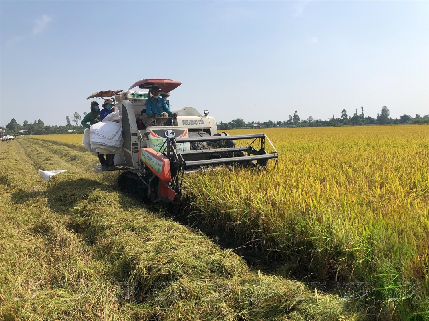 Điểm tin ngân hàng ngày 7/3: Bảo hiểm Cathay Việt Nam vi phạm trong bán bảo hiểm qua ngân hàng