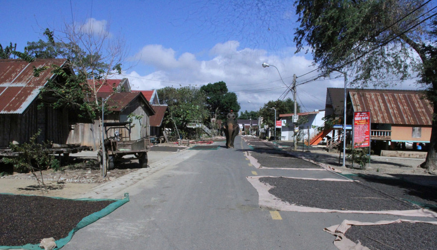 Phát triển du lịch cộng đồng bền vững bằng cách nào? Phát triển du lịch cộng đồng bền vững bằng cách nào?