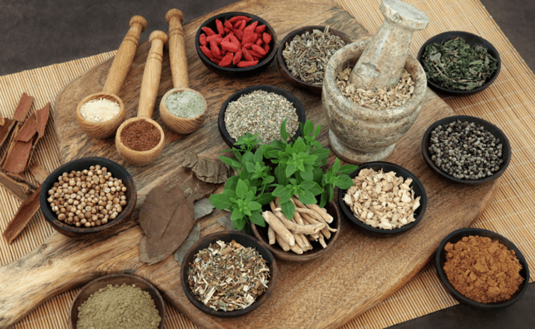 Dược liệu được Liên Hợp Quốc chọn làm chủ đề bảo tồn năm 2026