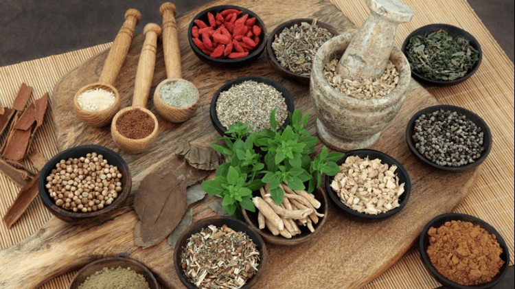 Dược liệu được Liên Hợp Quốc chọn làm chủ đề bảo tồn năm 2026