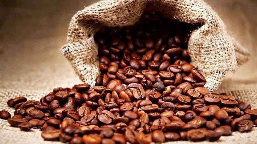 Giá cà phê hôm nay 3/3: Giảm nhẹ, Tây Nguyên còn 94.800 – 95.500 đồng/kg