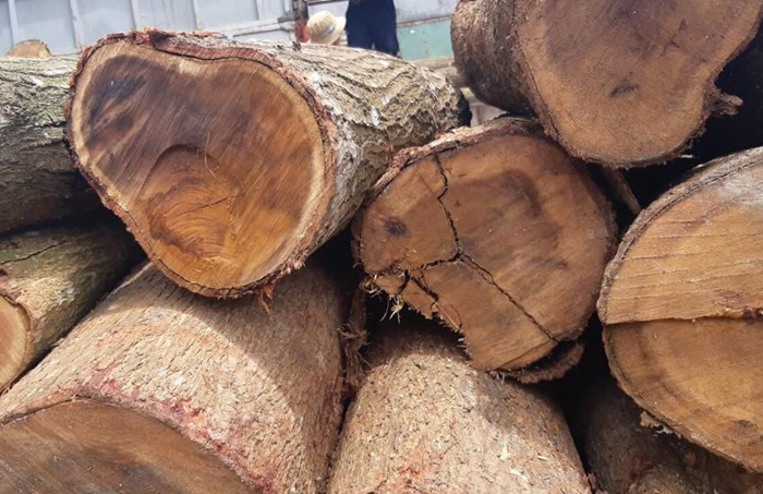 Loạt quy định của EU có hiệu lực trong năm 2026 tác động thế nào đến doanh nghiệp Việt?