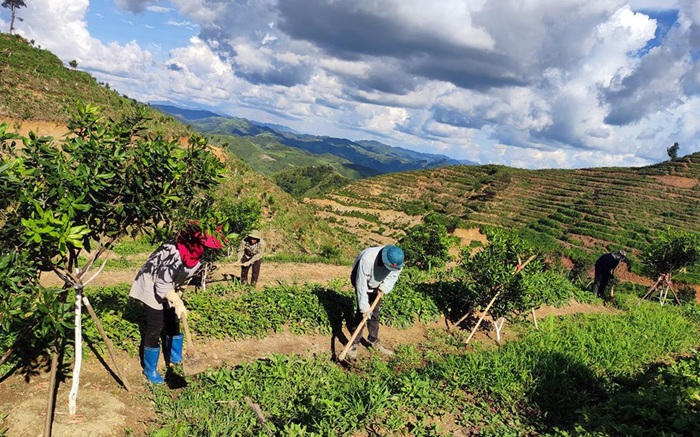 Điện Biên: Đẩy mạnh chuyển đổi cơ cấu cây trồng, hình thành vùng sản xuất tập trung Điện Biên: Đẩy mạnh chuyển đổi cơ cấu cây trồng, hình thành vùng sản xuất tập trung