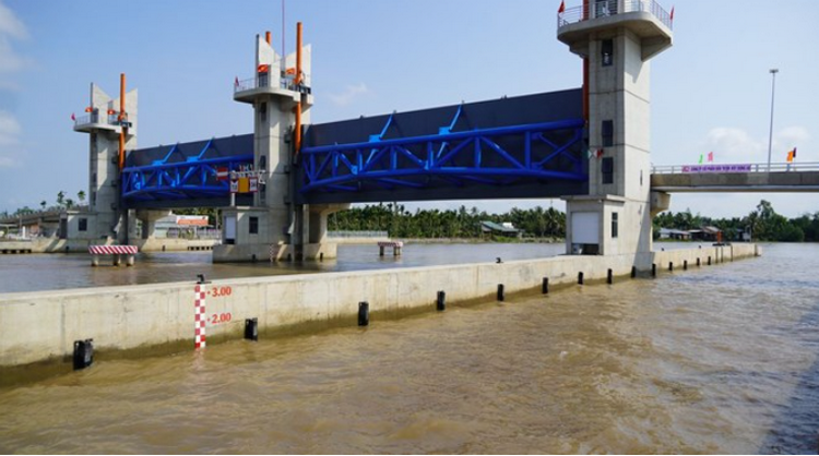 Cấp bách phòng chống xâm nhập mặn vùng Đồng bằng Sông Cửu Long