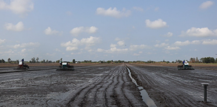 Cấp bách phòng chống xâm nhập mặn vùng Đồng bằng Sông Cửu Long