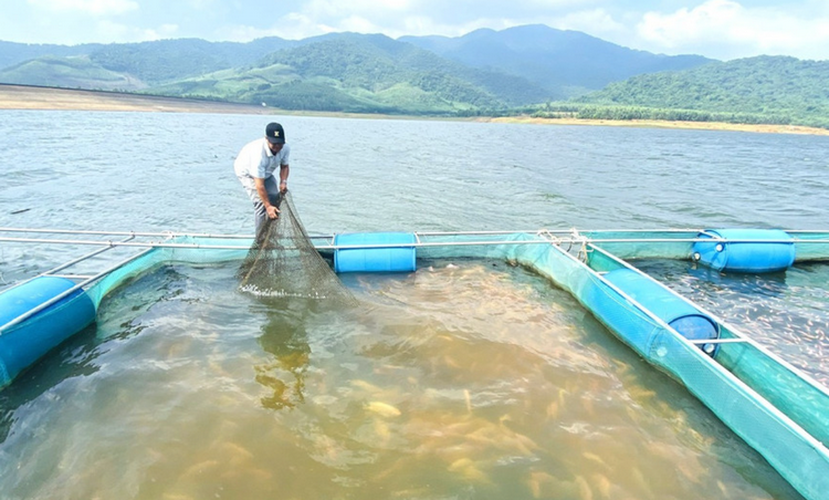 Gia Lai: Bảo tồn, phát triển bền vững nguồn lợi thuỷ sản