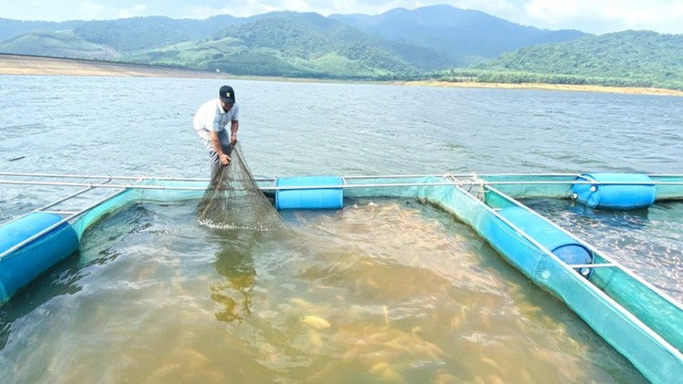 Gia Lai: Bảo tồn, phát triển bền vững nguồn lợi thuỷ sản