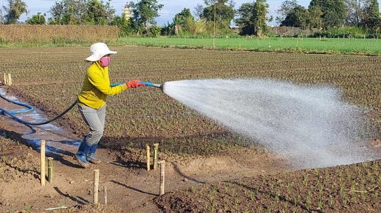 Chủ động điều tiết nguồn nước, giảm thiểu tối đa thiệt hại do hạn hán