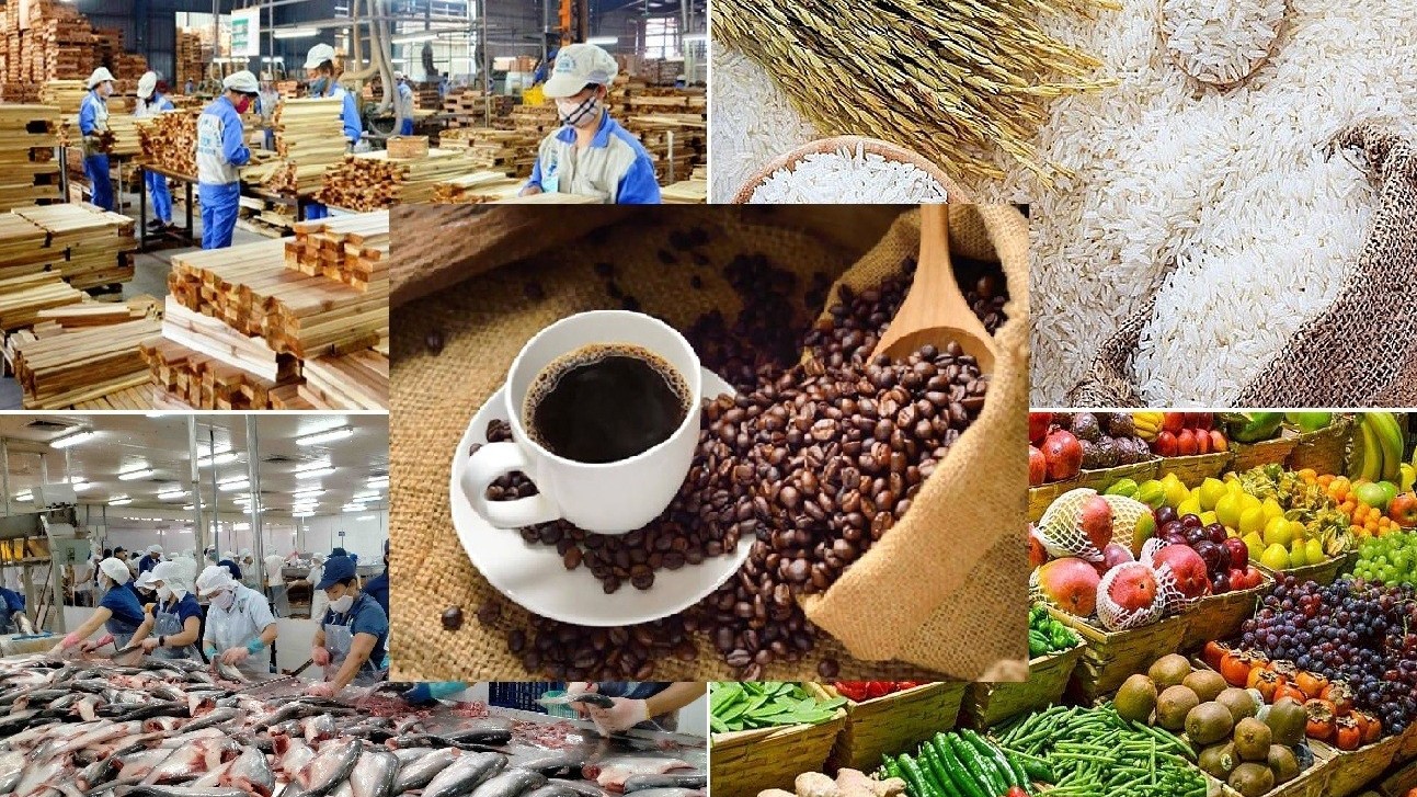 Giá nông sản hôm nay 12/3: Hồ tiêu và cà phê giảm, lúa gạo ổn định, sầu riêng giữ giá cao