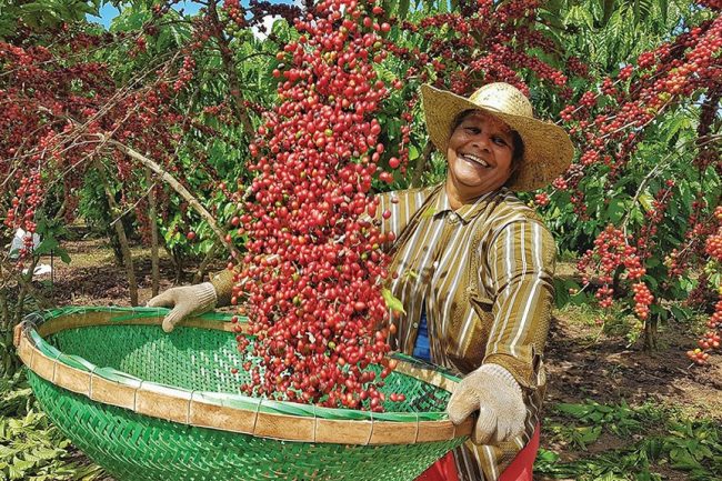 Ngày 1/10 hằng năm trở thành Ngày quốc tế cà phê