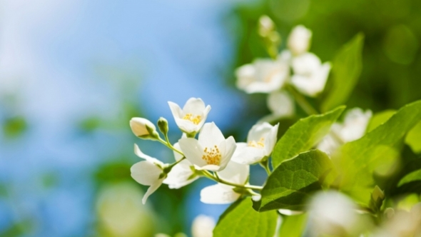 Tử vi vòng quay công nghệ ngày 13/3/2026: Tuổi Hợi có điềm tranh cãi, tuổi Tuất đón thêm tin vui