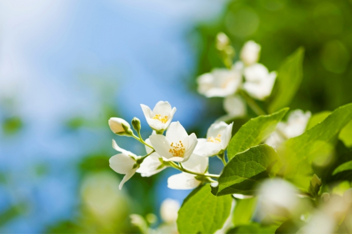 Tử vi vòng quay công nghệ ngày 13/3/2026: