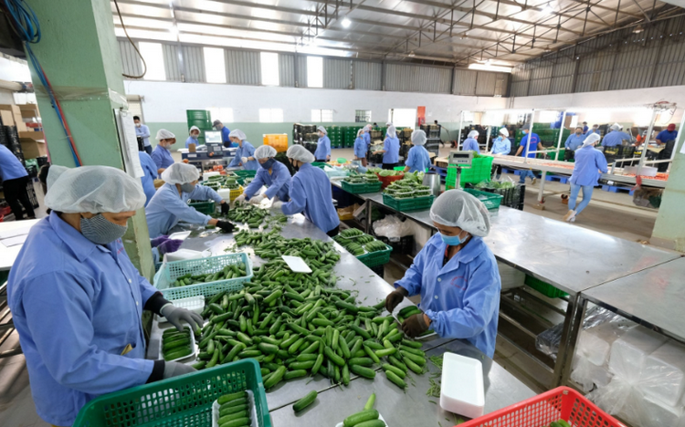 Đầu tư hạ tầng logistics, tăng sức cạnh tranh cho nông sản