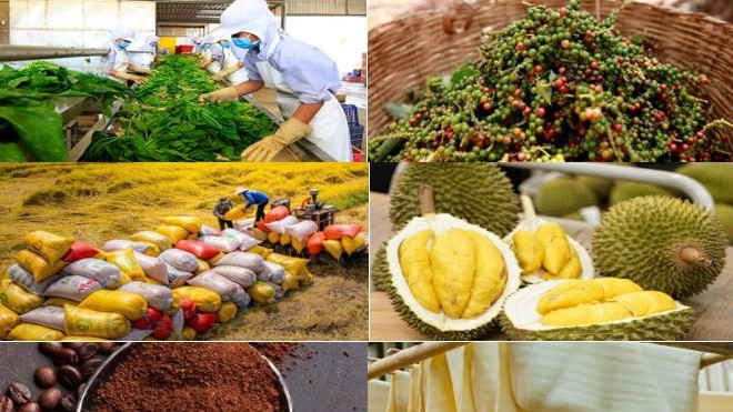 Giá nông sản hôm nay 15/3: Hồ tiêu bật tăng mạnh, cà phê lao dốc, sầu riêng giảm sâu