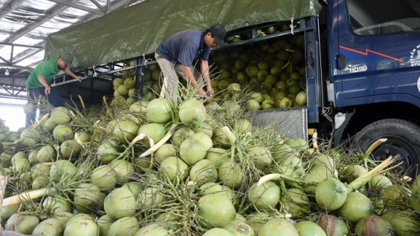 Xuất khẩu rau quả hướng tới mục tiêu đạt 10 tỷ USD