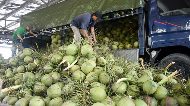 Xuất khẩu rau quả hướng tới mục tiêu đạt 10 tỷ USD