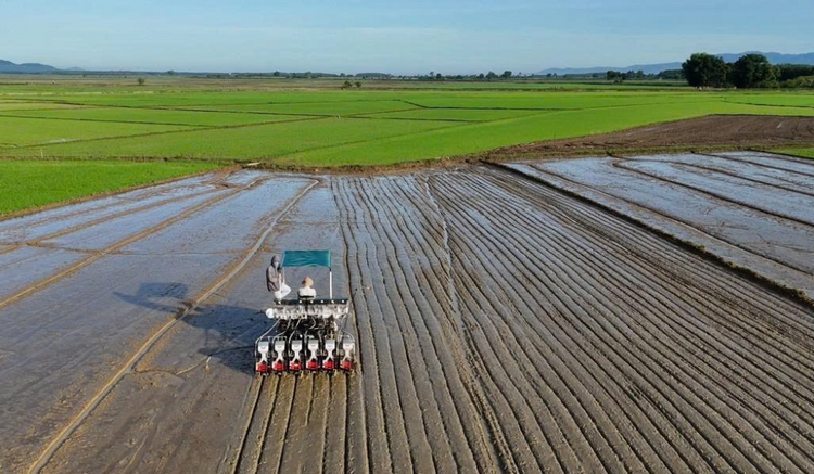 Lâm Đồng thúc đẩy sản xuất nông nghiệp phát thải thấp, thích ứng biến đổi khí hậu