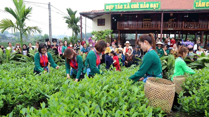 Phát triển du lịch cộng đồng gắn với cây trồng chủ lực