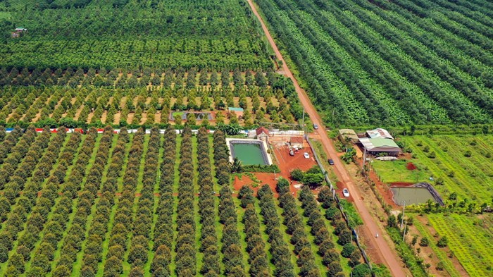 Chia sẻ khó khăn với nông dân trước biến động toàn cầu