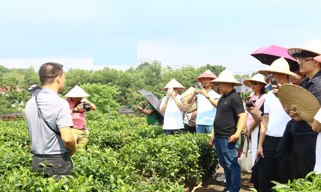 Phát triển du lịch cộng đồng gắn với cây trồng chủ lực