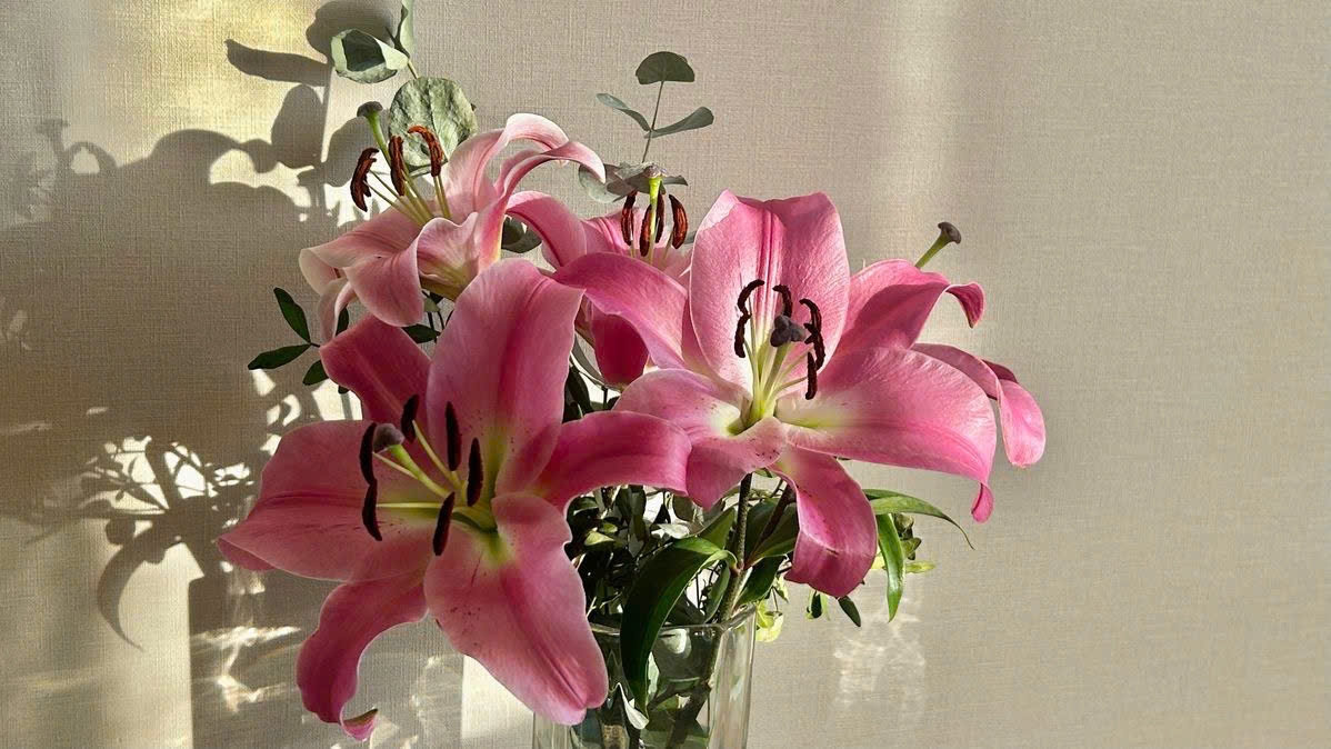 Tử vi vòng quay công nghệ ngày 25/3/2026: Tuổi Ngọ đón vận may, tuổi Mão công việc suy giảm