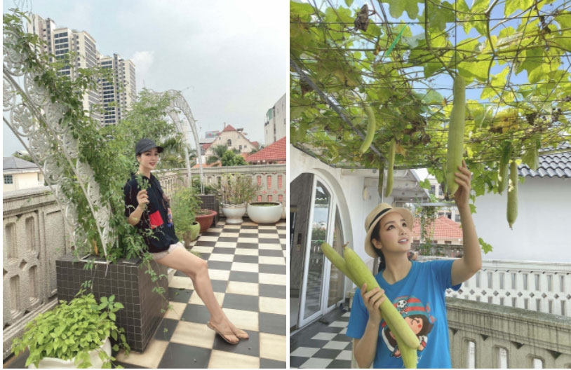 Hoa hậu Giáng My giàu có cỡ nào?