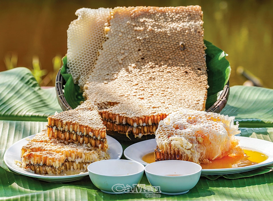 Về U Minh thưởng thức gỏi nhộng ong Về U Minh thưởng thức gỏi nhộng ong