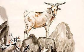 Top 4 con giáp may mắn có ngoại hình đẹp và khí chất nổi bật ngay từ khi sinh ra Top 4 con giáp may mắn có ngoại hình đẹp và khí chất nổi bật ngay từ khi sinh ra