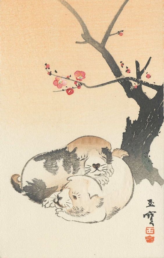 Top 4 con giáp may mắn có ngoại hình đẹp và khí chất nổi bật ngay từ khi sinh ra Top 4 con giáp may mắn có ngoại hình đẹp và khí chất nổi bật ngay từ khi sinh ra