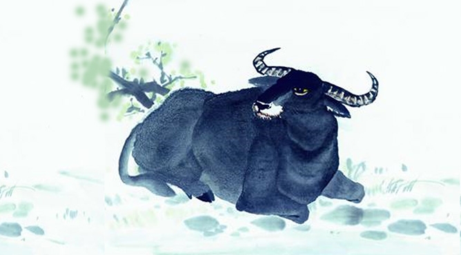 Phụ nữ thuộc 4 con giáp này hậu vận dễ gặp may mắn, cuộc sống hạnh phúc