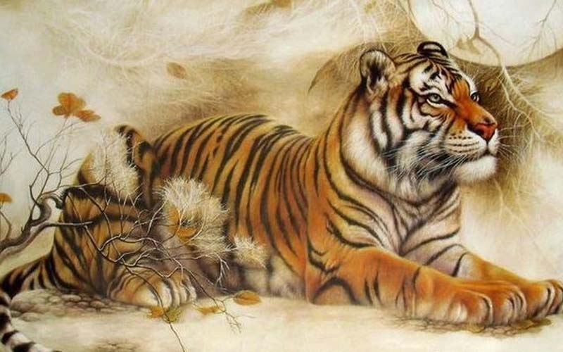 Phụ nữ thuộc 4 con giáp này hậu vận dễ gặp may mắn, cuộc sống hạnh phúc