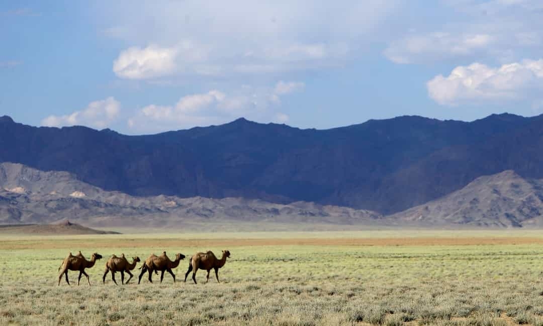Khám phá Mông Cổ - vùng đất của những người du mục Khám phá Mông Cổ - vùng đất của những người du mục