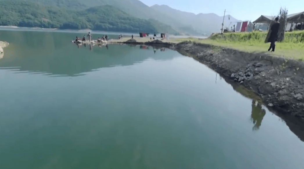 Sự thật về cây lớn nhất nước Trung Quốc là nơi sinh sống của hàng chục triệu con chim