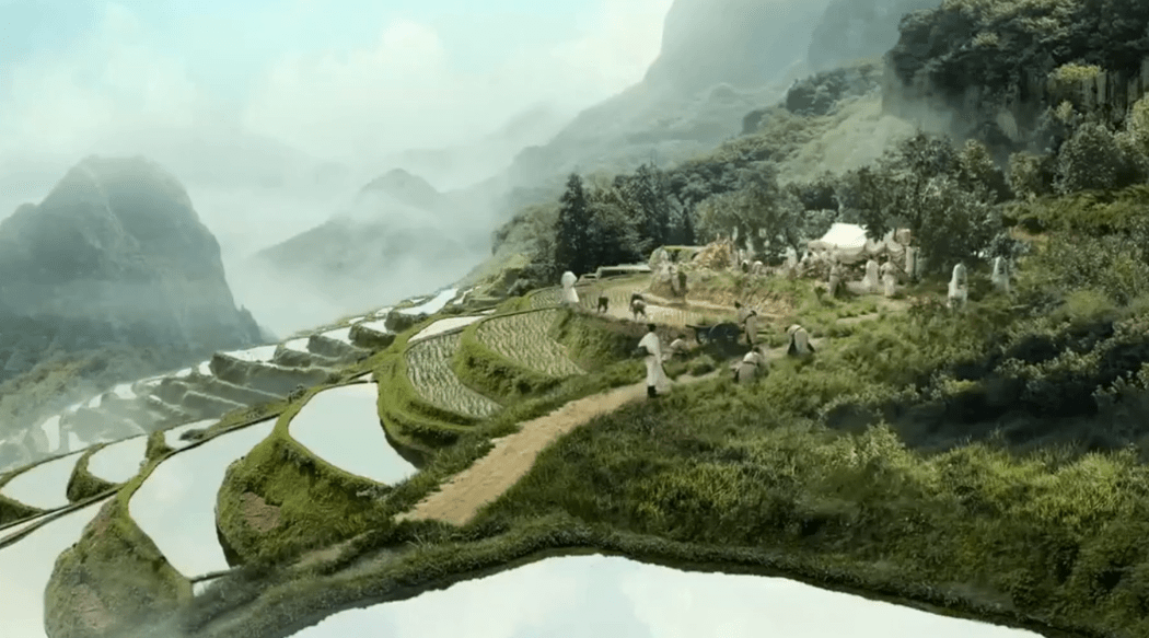 Sự thật về cây lớn nhất nước Trung Quốc là nơi sinh sống của hàng chục triệu con chim