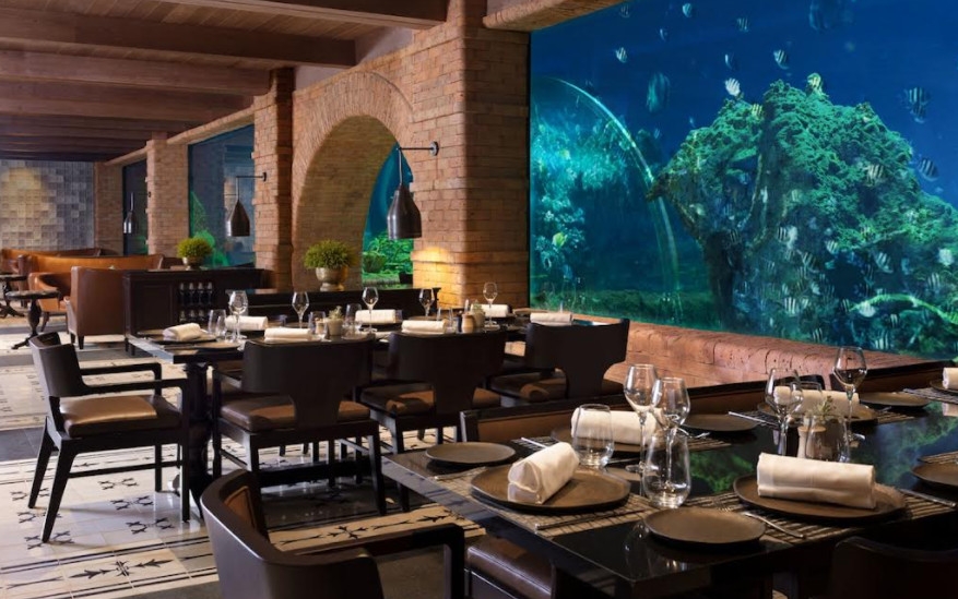 Khám phá nhà hàng ẩn mình dưới thuỷ cung đầu tiên tại Bali Khám phá nhà hàng ẩn mình dưới thuỷ cung đầu tiên tại Bali