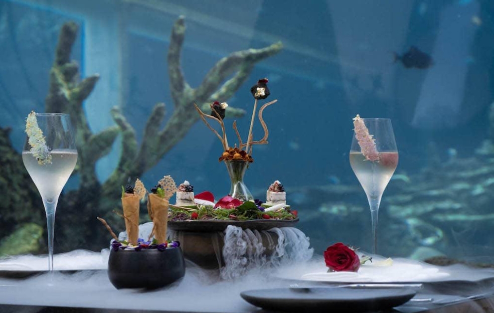 Khám phá nhà hàng ẩn mình dưới thuỷ cung đầu tiên tại Bali Khám phá nhà hàng ẩn mình dưới thuỷ cung đầu tiên tại Bali