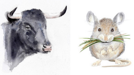 3 cặp con giáp có mối nhân duyên, cuộc sống viên mãn 3 cặp con giáp có mối nhân duyên, cuộc sống viên mãn