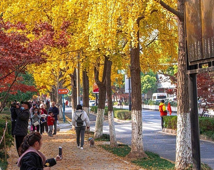 Top 3 địa điểm nhất định phải “check-in” khi tới Tô Châu, Trung Quốc