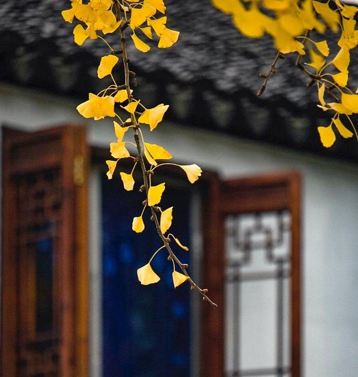 Top 3 địa điểm nhất định phải “check-in” khi tới Tô Châu, Trung Quốc