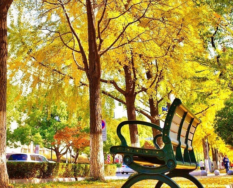 Top 3 địa điểm nhất định phải “check-in” khi tới Tô Châu, Trung Quốc