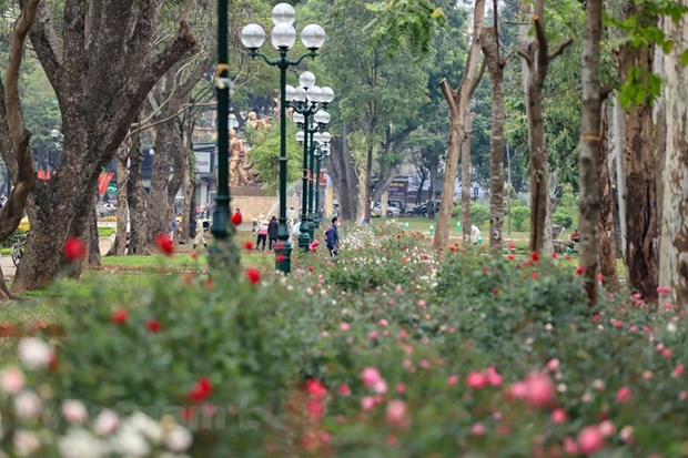 Hà Nội: Tháo gỡ khó khăn, nỗ lực giải bài toán thiếu công viên