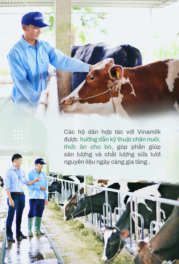 CEO Vinamilk Mai Kiều Liên: Doanh nhân xuất thân từ nhà khoa học, gắn bó với nông dân, chú trọng “tam nông”