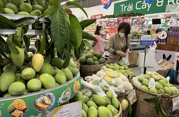 Kết nối tiêu thụ, phát triển bền vững ngành hàng xoài