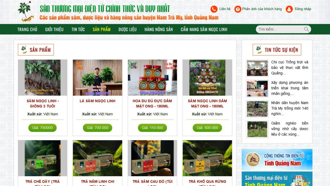 Đẩy mạnh xúc tiến tiêu thụ sâm Ngọc Linh trên sàn thương mại điện tử