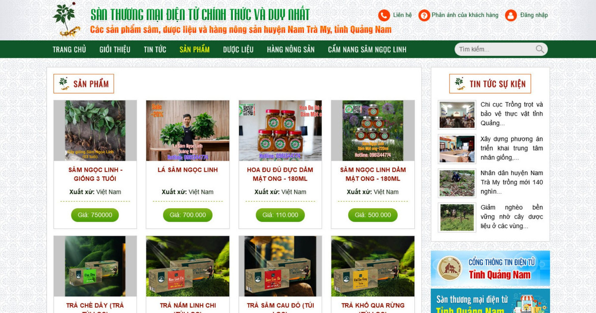 Đẩy mạnh xúc tiến tiêu thụ sâm Ngọc Linh trên sàn thương mại điện tử