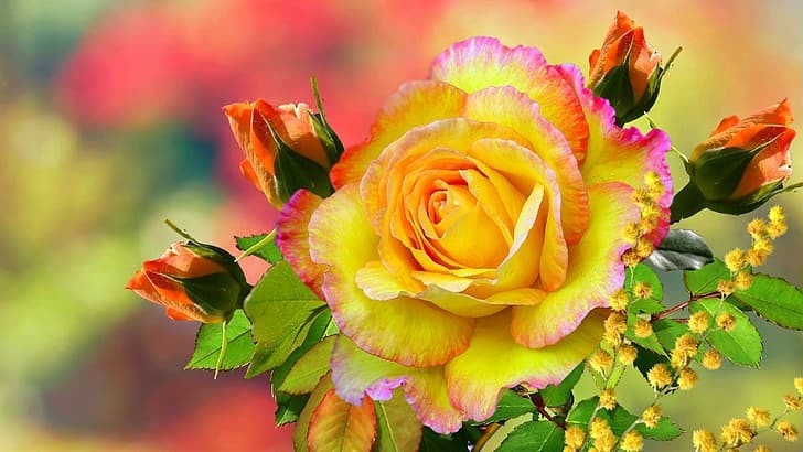 Tử vi 12 con giáp ngày 15/4/2024: Tuổi Tuất gặp nhiều thuận lợi, tuổi Thìn có kẻ cạnh tranh Tử vi 12 con giáp ngày 15/4/2024: Tuổi Tuất gặp nhiều thuận lợi, tuổi Thìn có kẻ cạnh tranh