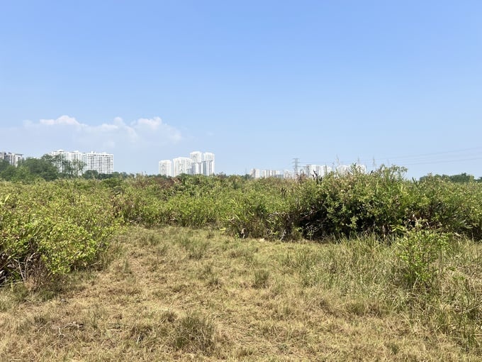 Tin bất động sản ngày 15/4: Vì sao Dự án Phước Kiển của Công ty Quốc Cường Gia Lai bị kê biên? Tin bất động sản ngày 15/4: Vì sao Dự án Phước Kiển của Công ty Quốc Cường Gia Lai bị kê biên?