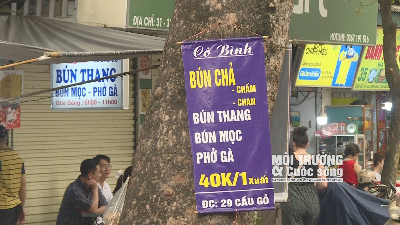 Cây xanh tại Hà Nội đang kêu cứu Cây xanh tại Hà Nội đang kêu cứu