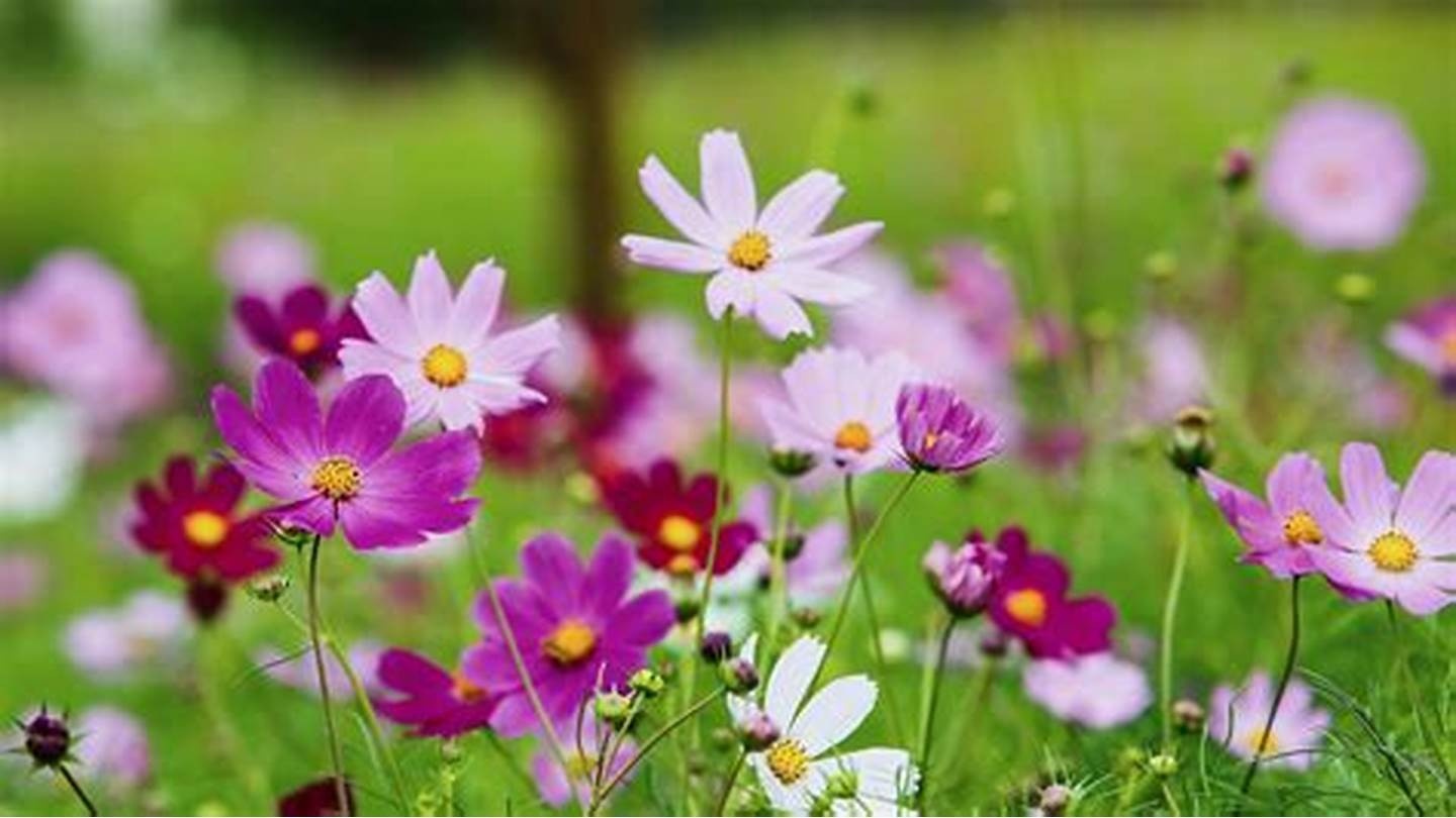 Tử vi 12 con giáp ngày 23/4/2024: Tuổi Tuất tiến triển tốt, tuổi Dần cần thận trọng Tử vi 12 con giáp ngày 23/4/2024: Tuổi Tuất tiến triển tốt, tuổi Dần cần thận trọng