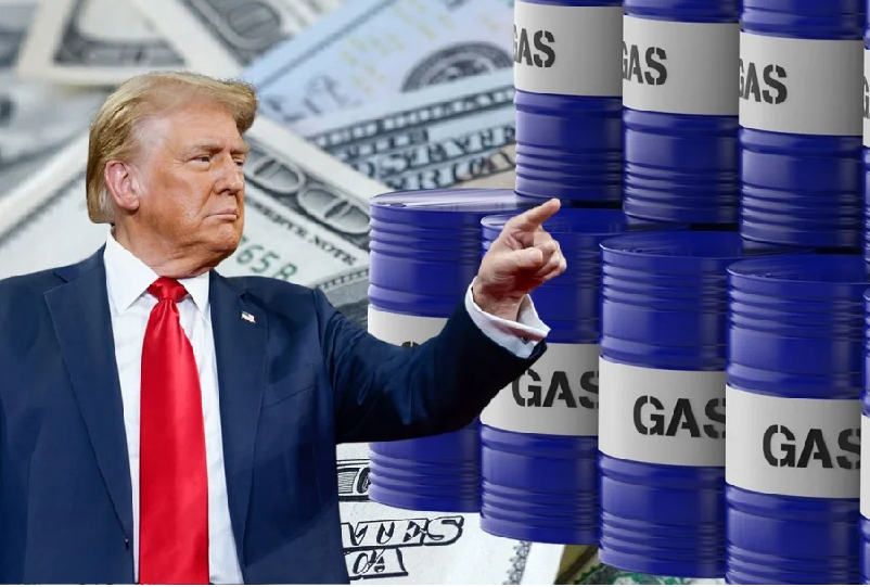 Vì sao dầu khí được miễn trừ thuế nhập khẩu vào Mỹ? Vì sao dầu khí được miễn trừ thuế nhập khẩu vào Mỹ?